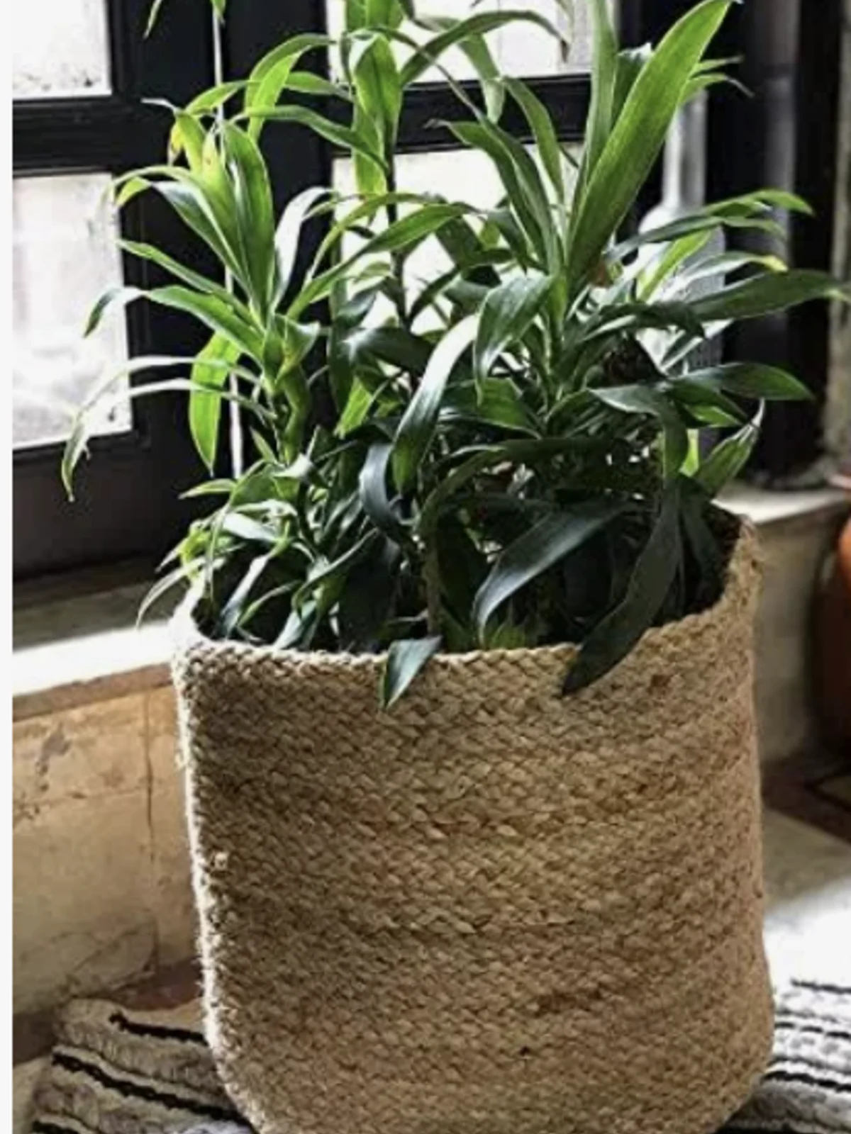 Woven Jute Planter Basket